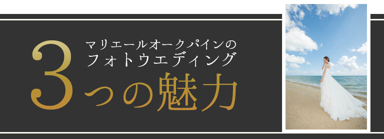 選ばれる3つの理由